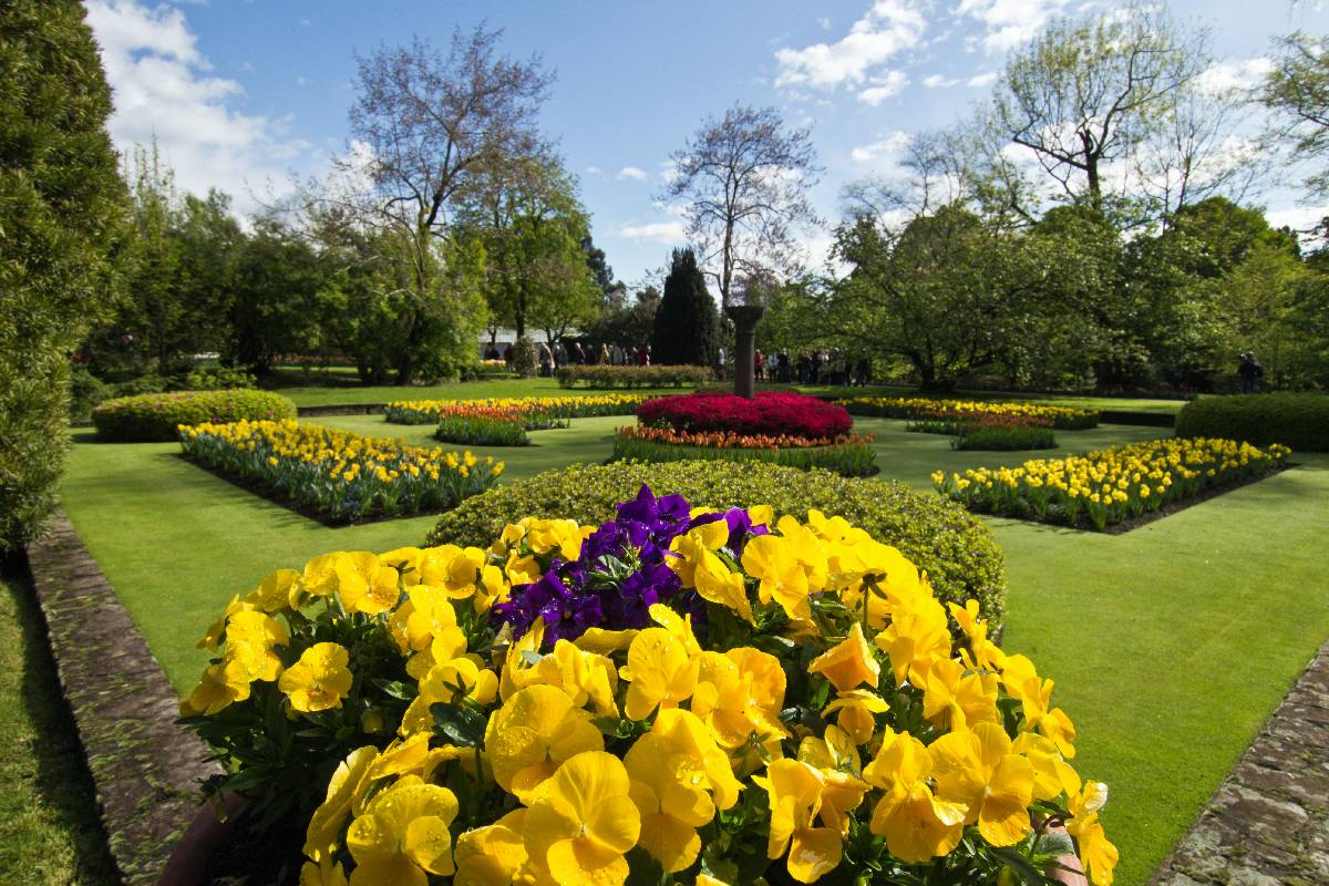 I GIARDINI BOTANICI di VILLA TARANTO - Bellezza e cura in uno spazio senza tempo