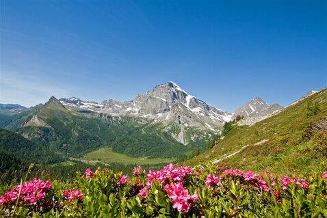 Romantici Laghi e Alpi maestose