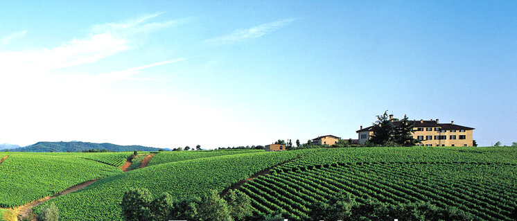 Tenuta La Marchesa